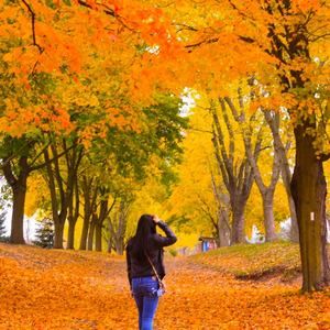 Meet your Posher, Mai